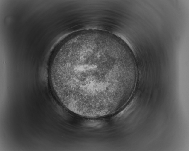 X0000092051115200710031037