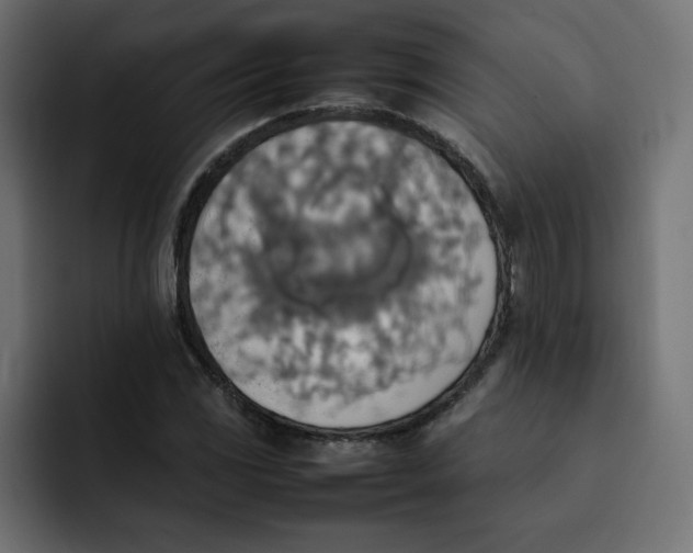 X0000092051117200710031037