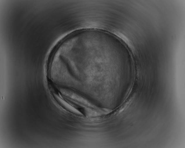 X0000092051120200710031037