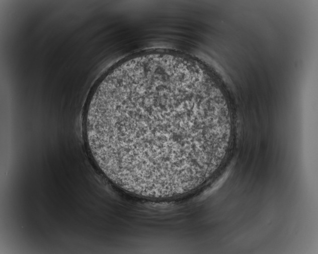 X0000092051121200710031037