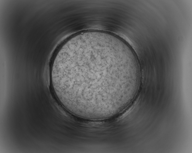 X0000092051123200710031037