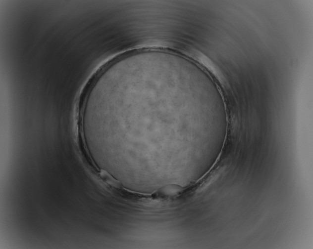 X0000092051124200710031037