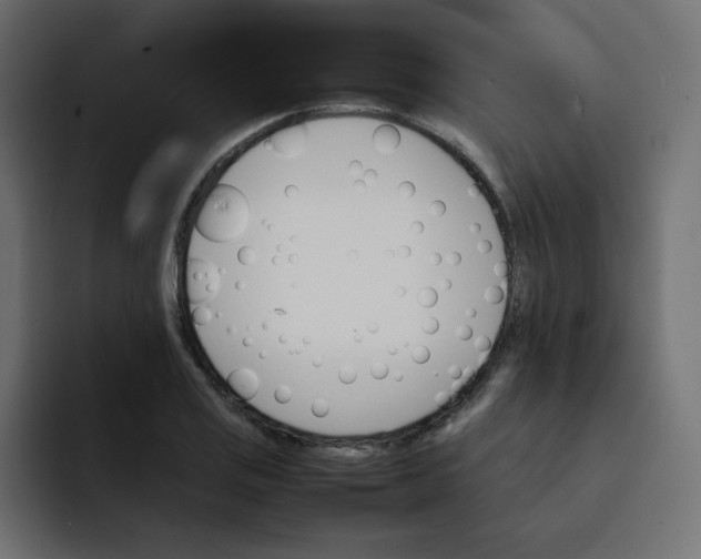 X0000092051125200710031038