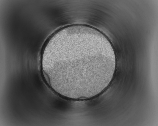 X0000092051126200710031038