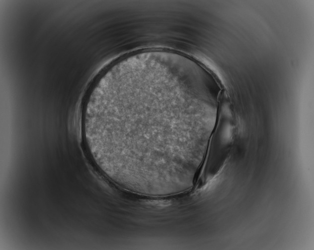 X0000092051127200710031038