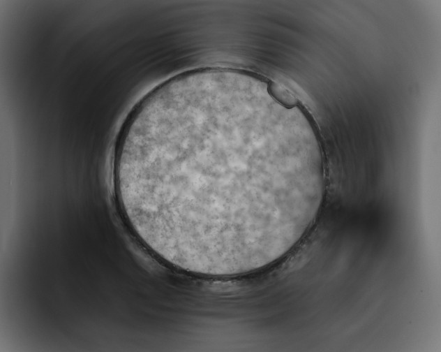 X0000092051128200710031038