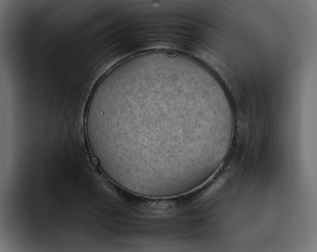 X0000092051129200710031038