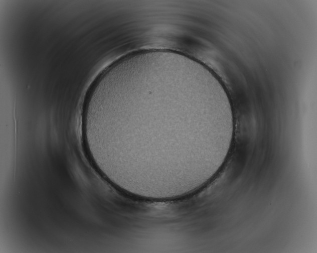 X0000092051130200710031038