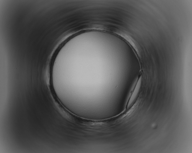 X0000092051131200710031038