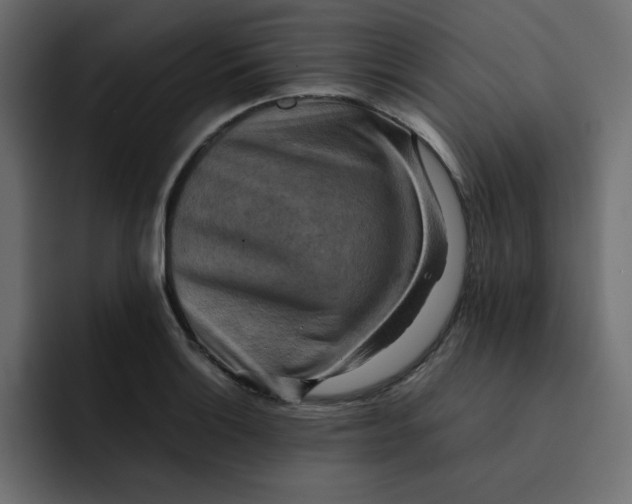 X0000092051132200710031038