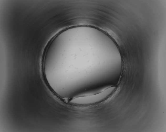 X0000092051134200710031038