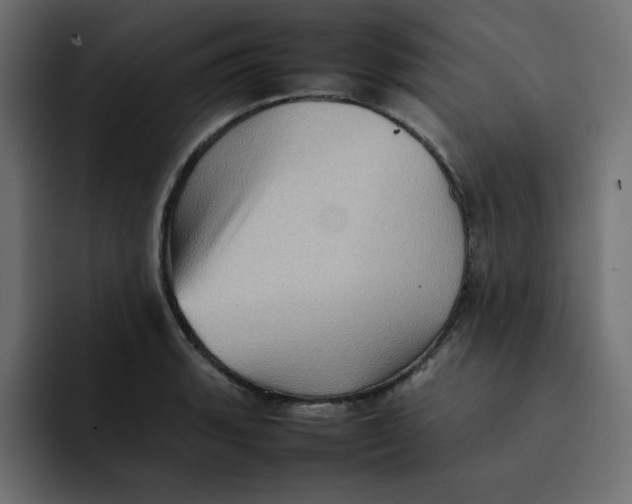 X0000092051135200710031038