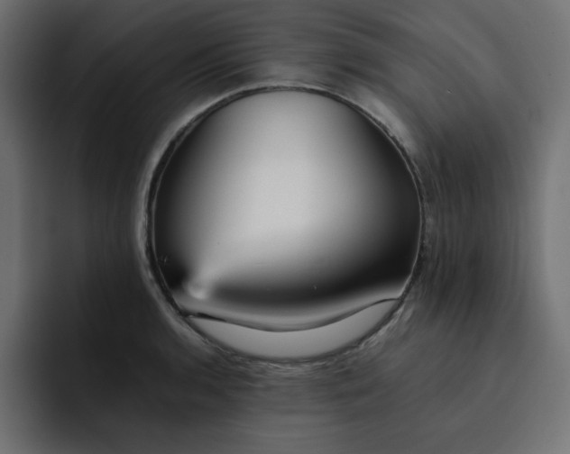 X0000092051136200710031038