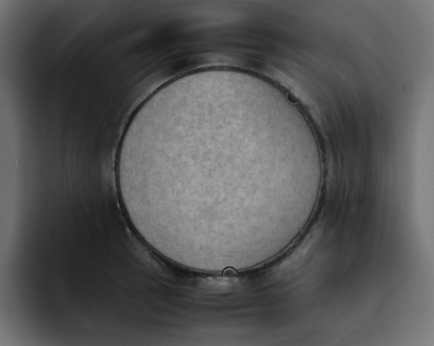 X0000092051137200710031038