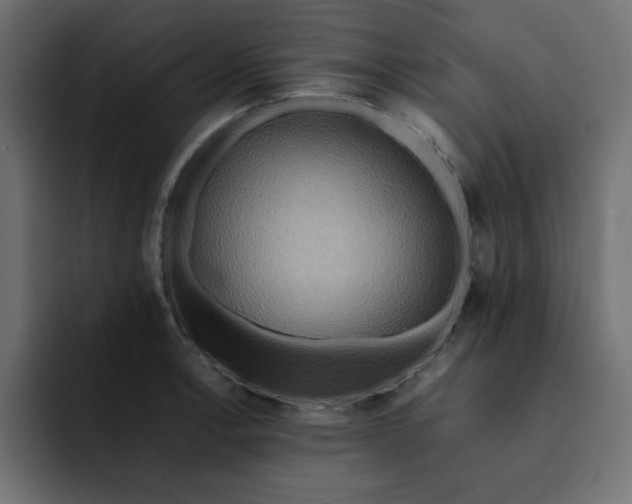 X0000092051138200710031038