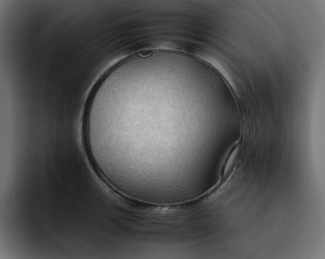 X0000092051139200710031038