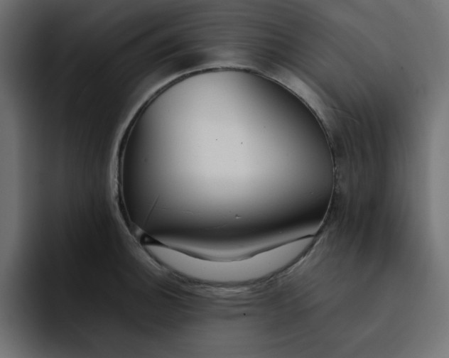 X0000092051140200710031038