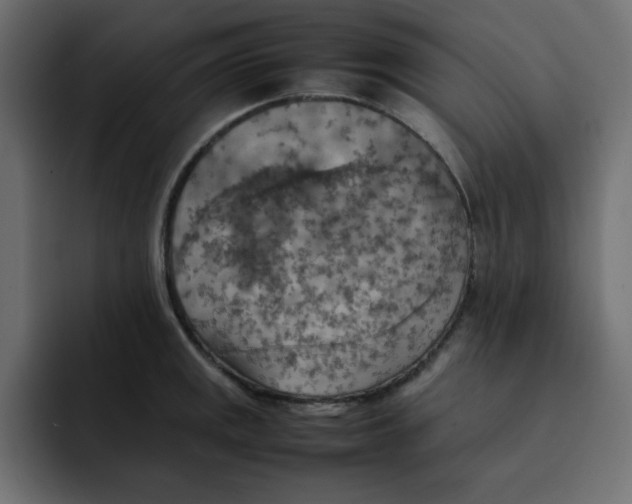 X0000092051141200710031038