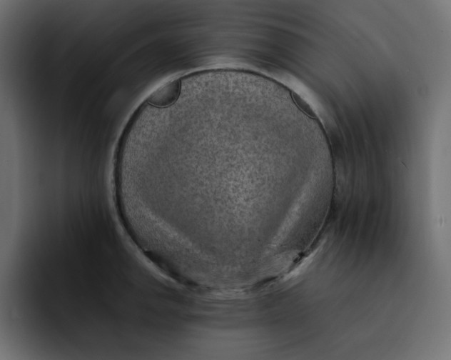 X0000092051142200710031038