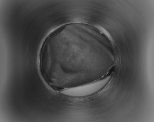 X0000092051144200710031038