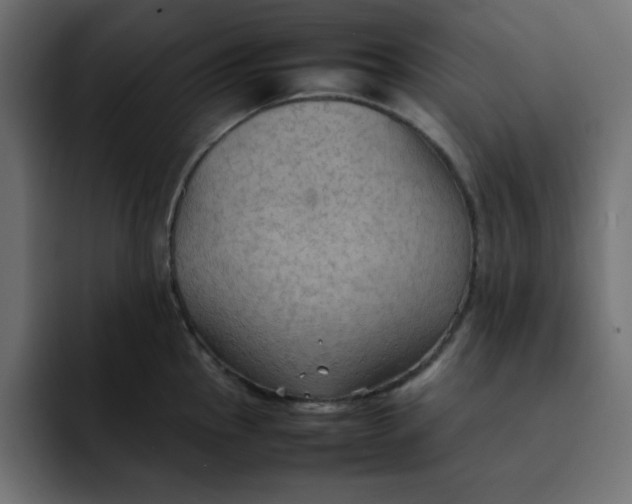 X0000092051145200710031038