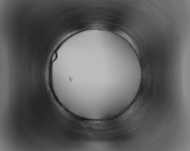 X0000092051147200710031038