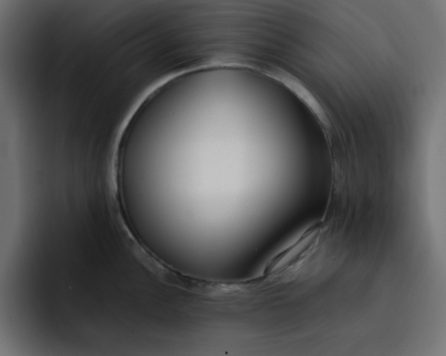 X0000092051148200710031038