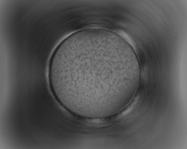 X0000092051149200710031038