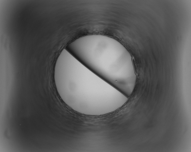 X0000092051153200710031037