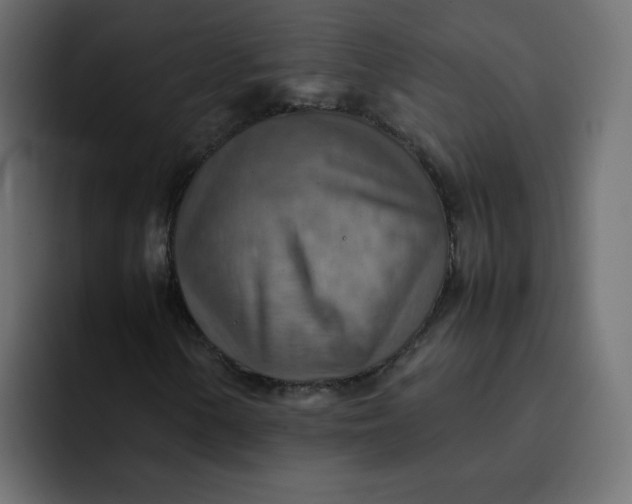 X0000092051154200710031037