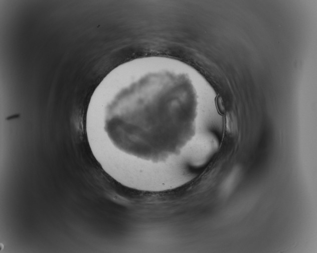 X0000092051155200710031037