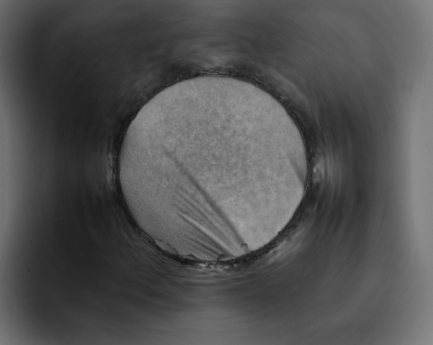 X0000092051156200710031037