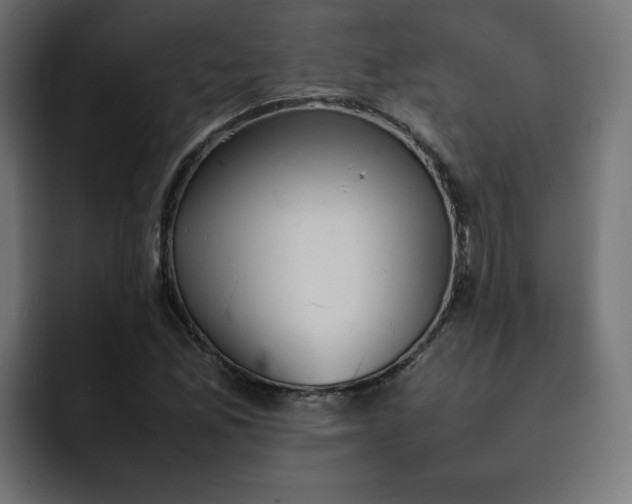 X0000092051165200710031037