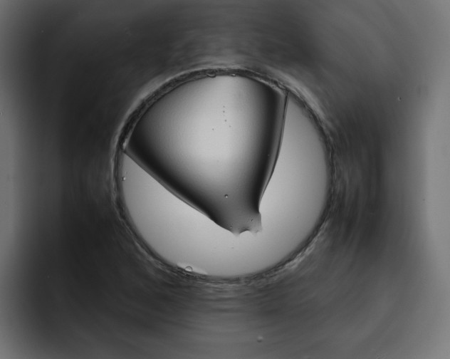 X0000092051168200710031037