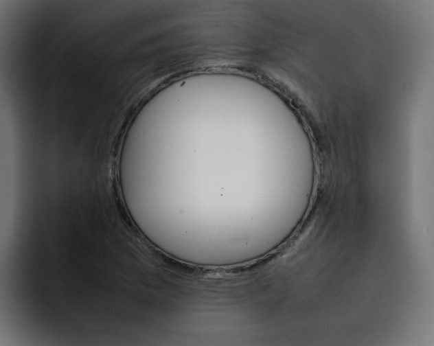 X0000092051169200710031037