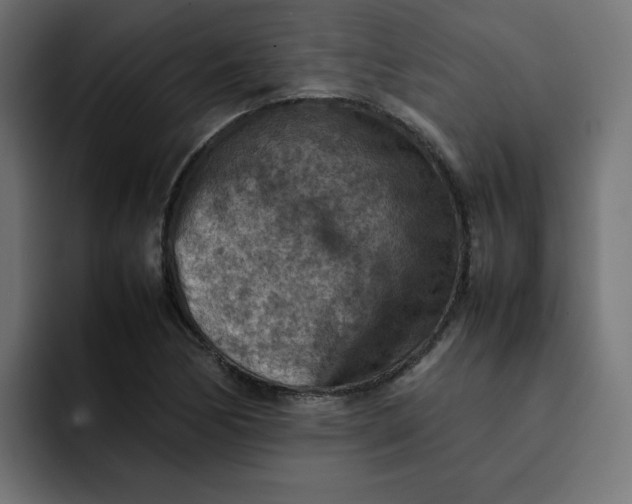 X0000092051170200710031037