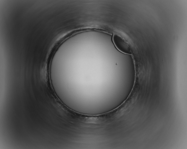 X0000092051172200710031037