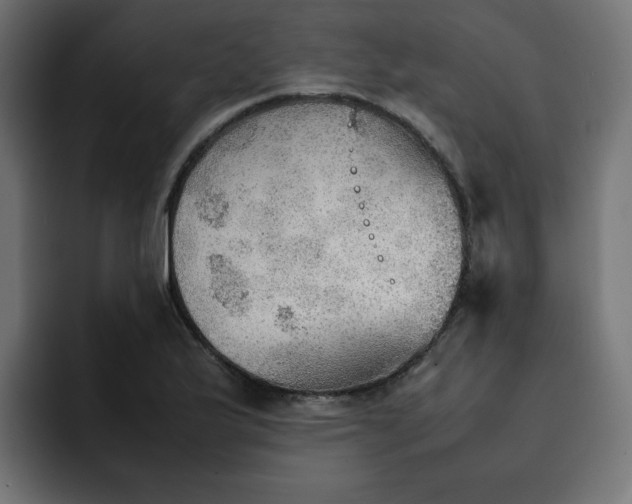 X0000092051175200710031037