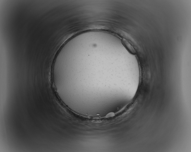 X0000092051177200710031037