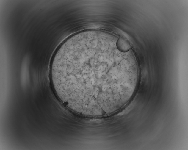 X0000092051178200710031037