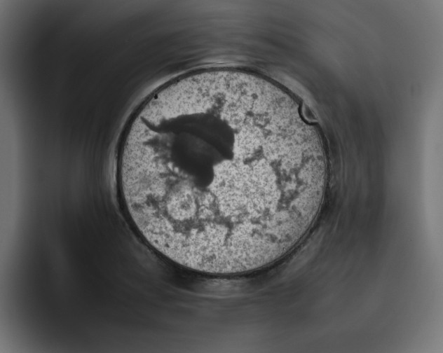 X0000092051179200710031037