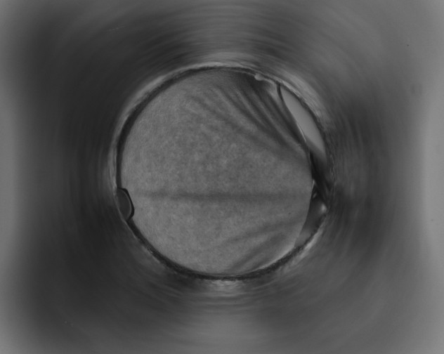 X0000092051180200710031037