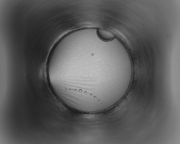 X0000092051182200710031037