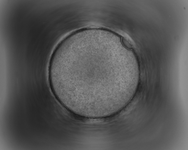 X0000092051183200710031037