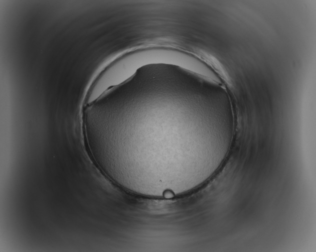 X0000092051184200710031037