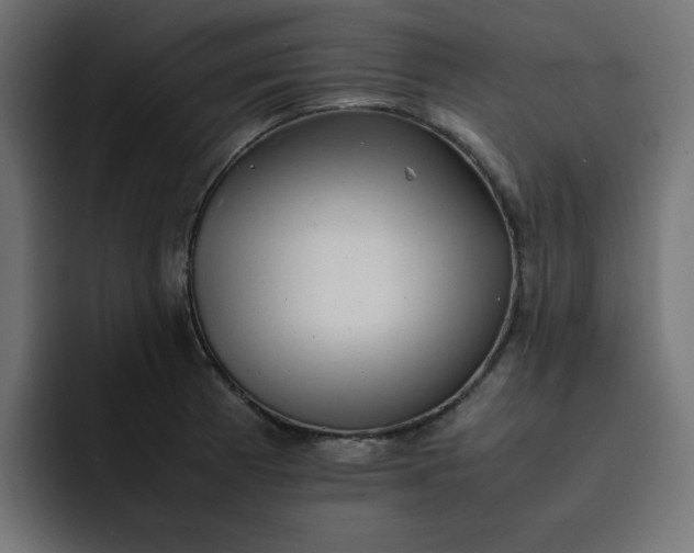 X0000092051185200710031037