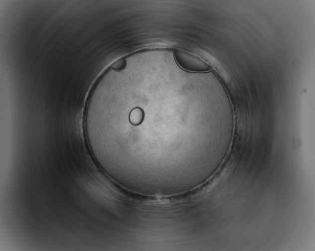 X0000092051186200710031037