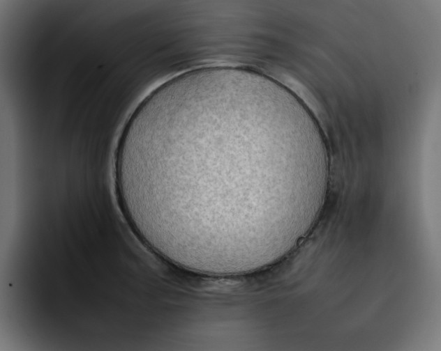 X0000092051187200710031037