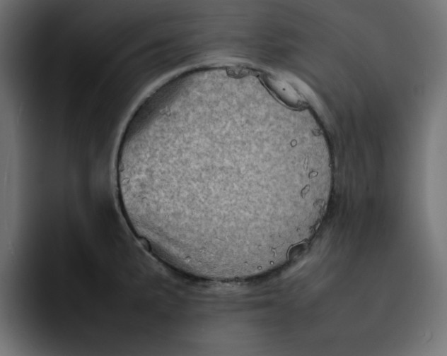 X0000092051191200710031037