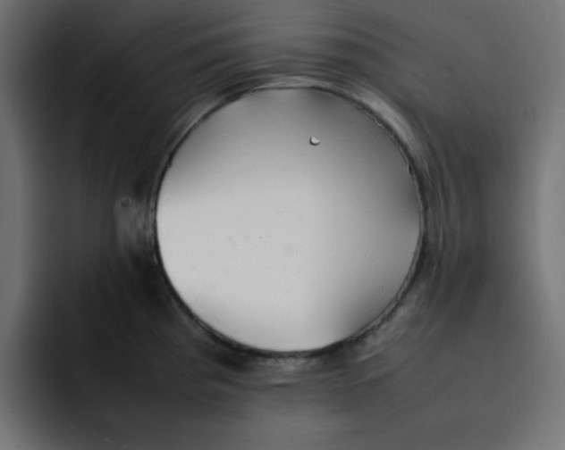 X0000092051193200710031037